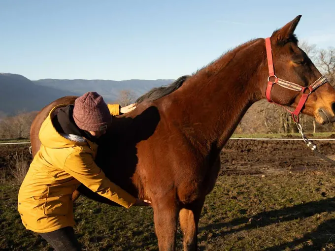 Séance sur un cheval alezan en extérieur
