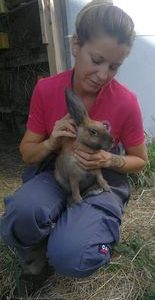 423454825_368345319430240_4961556732732289925_n