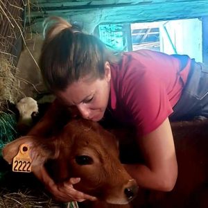Séance d'OSTEOPATHIE autres animaux