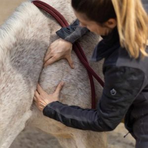 431331967_759547919606905_5099094922577688915_n