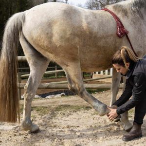 431335557_7505280596196055_7456072802409254512_n