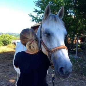 Ostéopathie équine