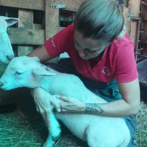 432612688_1000488504781194_7076906101016687370_n