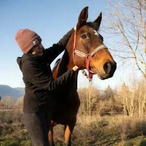 Ostéopathie équine