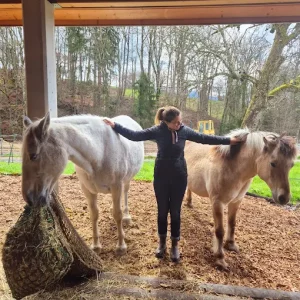 Ostéopathie équine