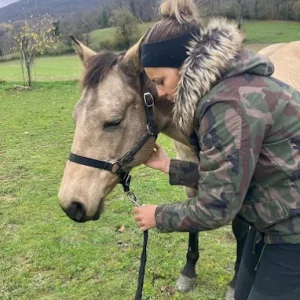 Ostéopathie équine