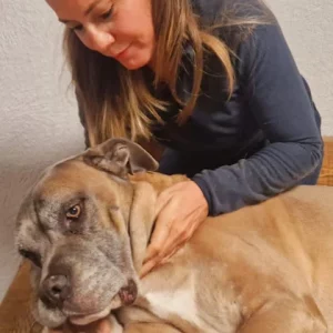 Ostéopathie Canine