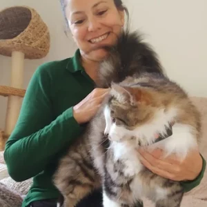 Ostéopathie féline