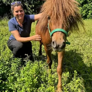 Ostéopathie équine