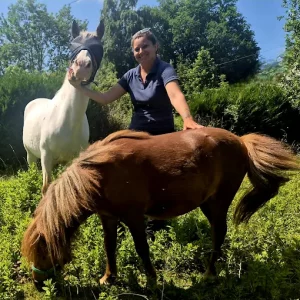 Ostéopathie équine