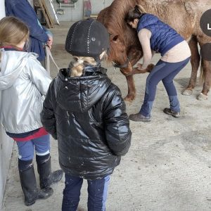 Ostéopathie équine