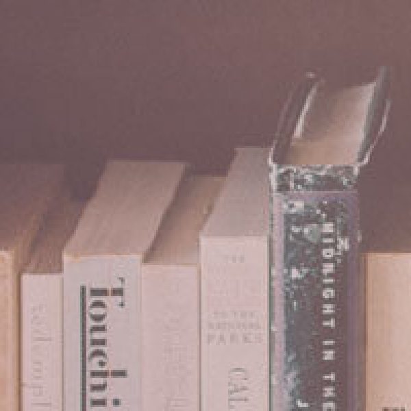 Pourquoi l’ostéopathie animale est bénéfique pour votre compagnon ?